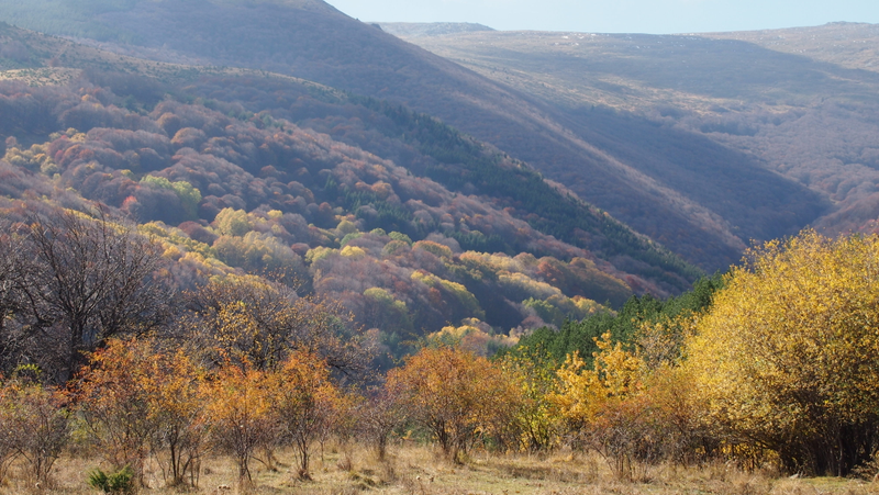 Illustration for article titled Here are some photos of my hike yesterday.